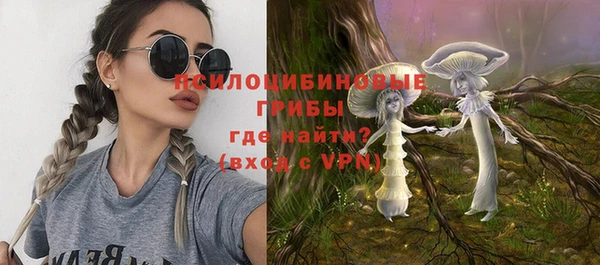 Альфа ПВП Белокуриха