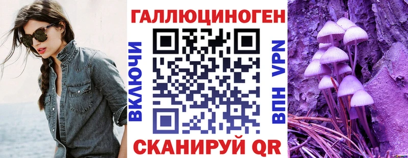 где купить наркоту  Щигры  Псилоцибиновые грибы мицелий 